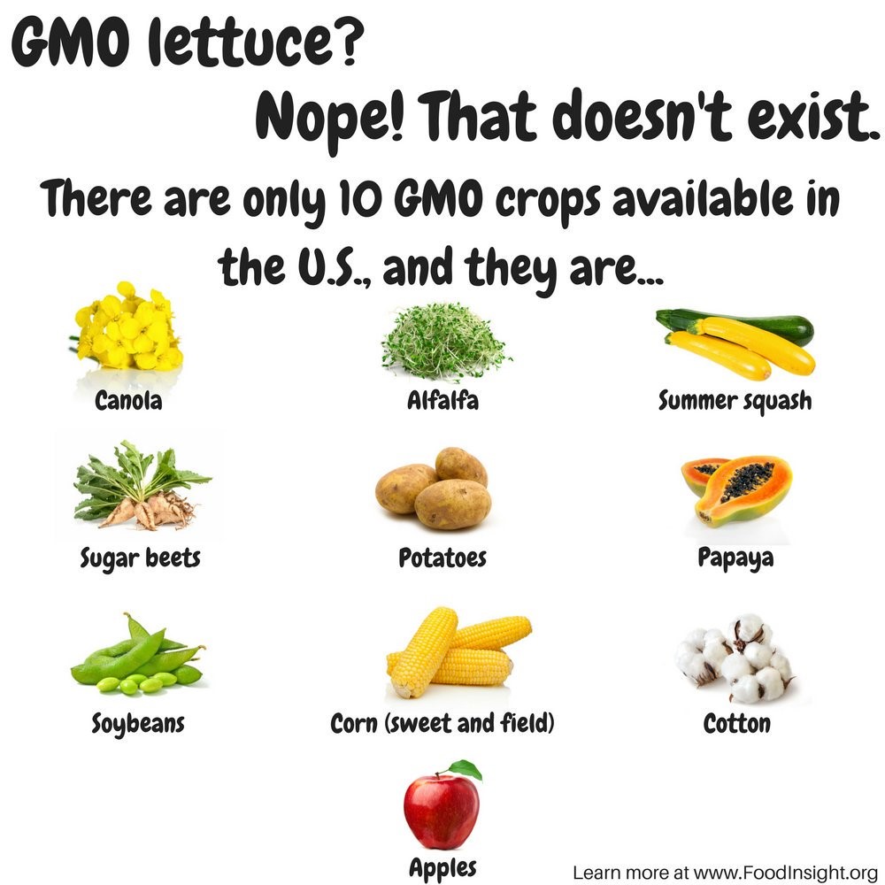 10 GMO Crops