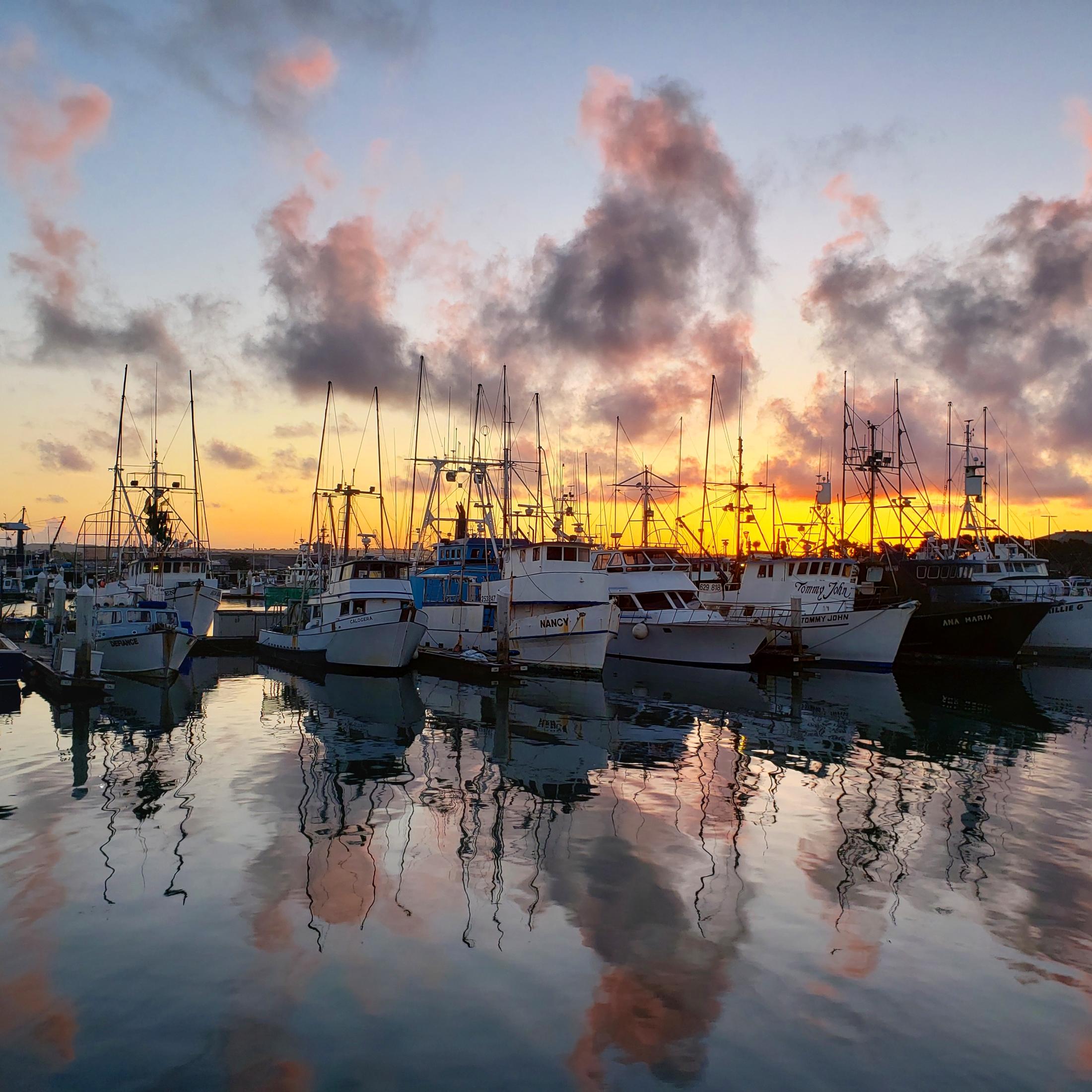 Boats at the Embarcadero