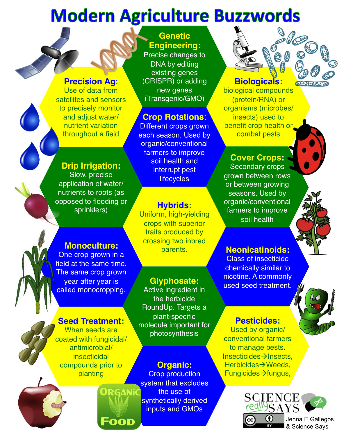 Buzzwords_Infographic.png