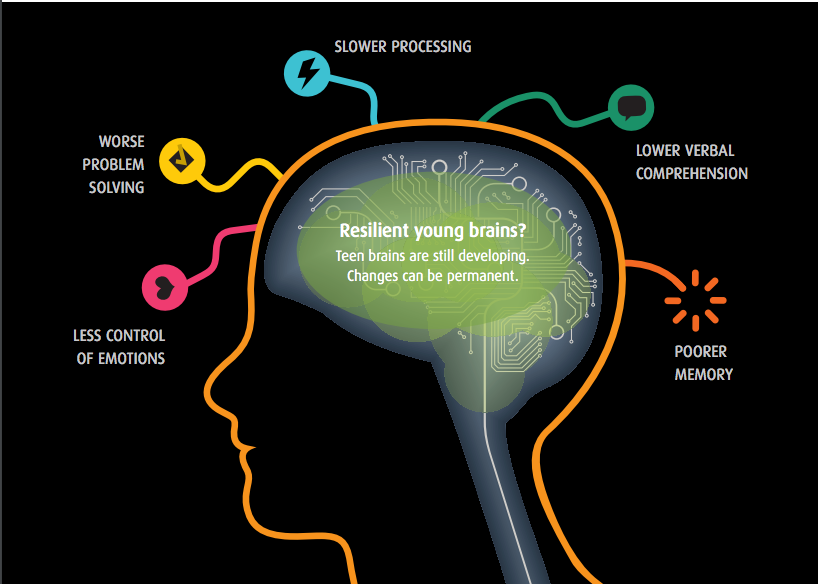 Developing teen brain effects of marijuana