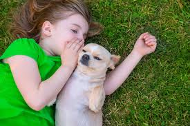 Girl talking to dog