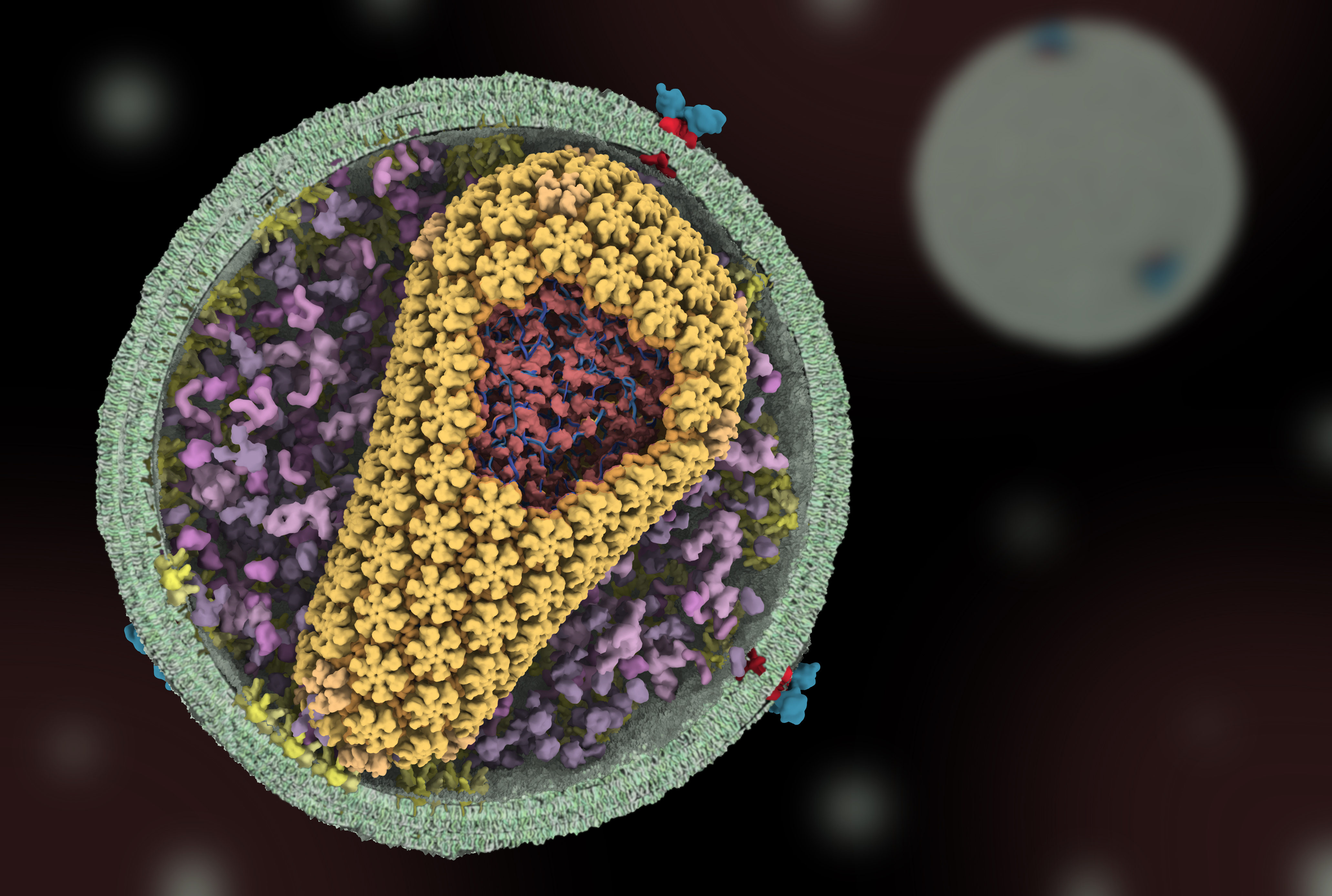 Digital illustration of the HIV virus on a black background.