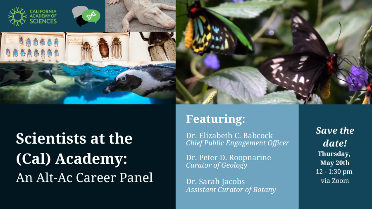 Banner advertising the career panel including pictures from the California Academy of Science.