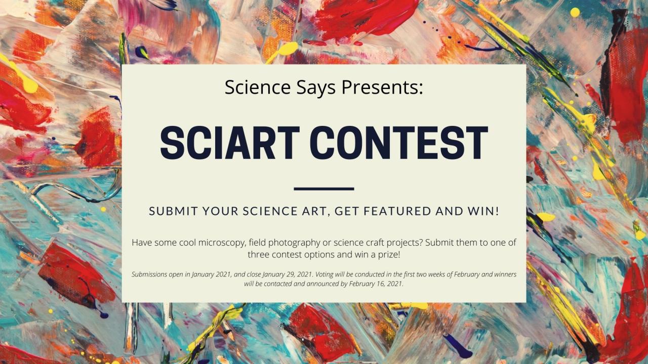 SciArt Contest Banner