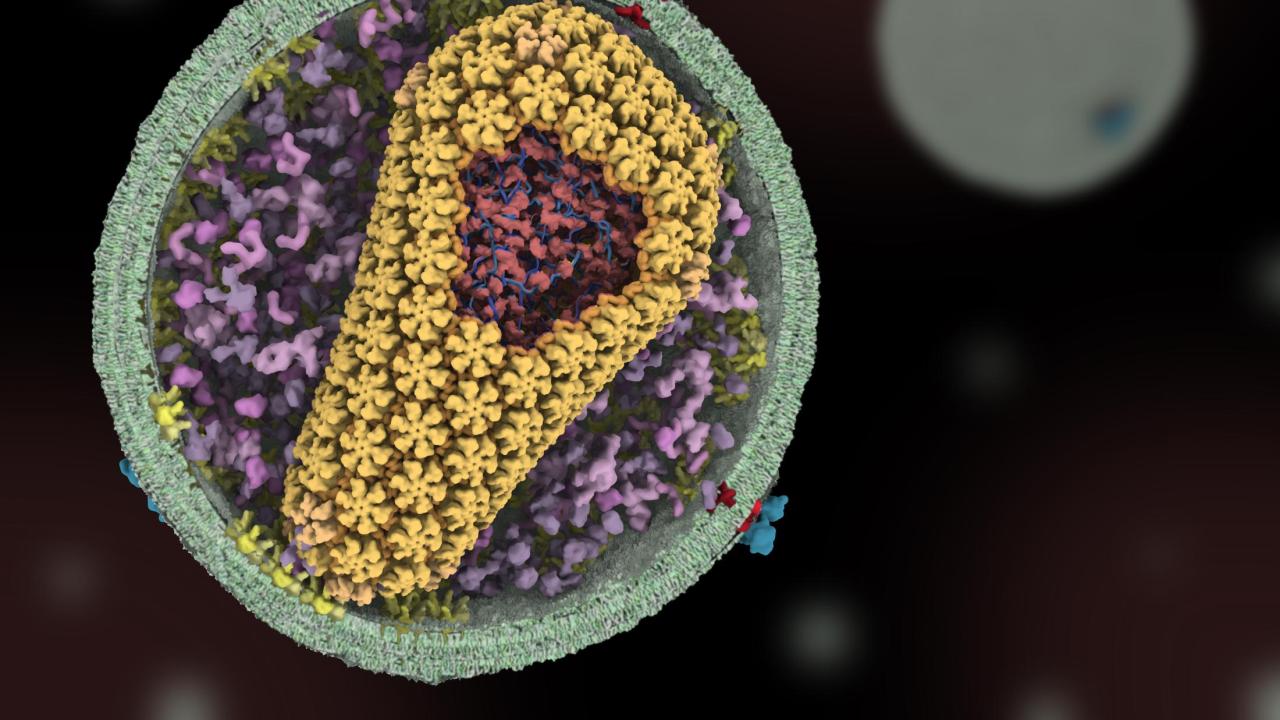 Digital illustration of the HIV virus on a black background.