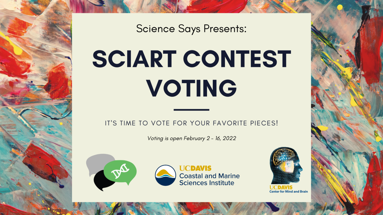 Banner advertising voting for the science art contest entries. Has a colorful, paint-smeary background and the logos of the three organizations involved.