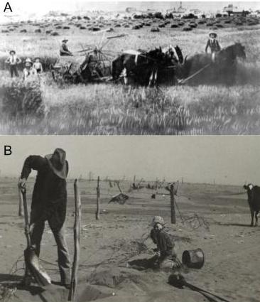 Black and white photo of farmland before (top) and after (bottom) the Dust Bowl in 1930.