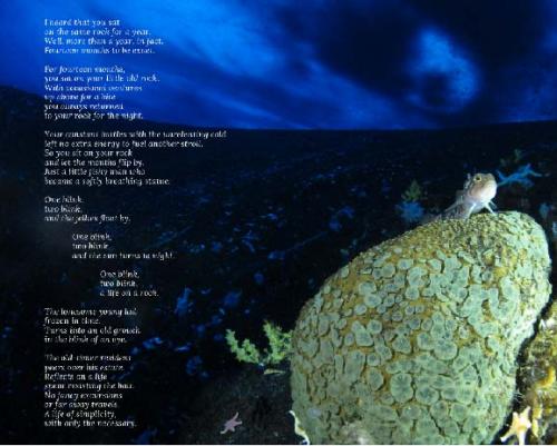 Original poem on the left superimposed on an image of a fish on a rock underwater