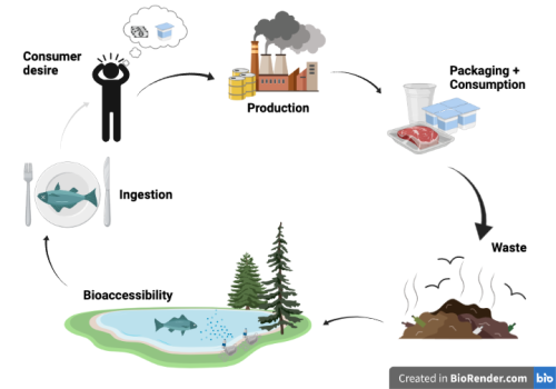 Graphic of the plastic lifecycle. See caption for detailed explanation.