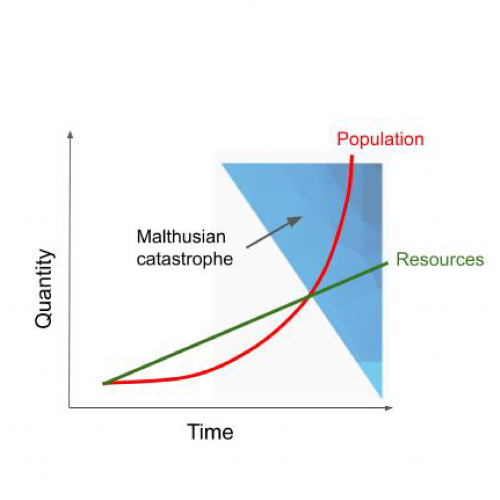 Malthusian Predictions. By this model, a population can potentially grow exponentially, while resources are replenished by a linear function. This difference produces stresses that bring the system back to equilibrium.