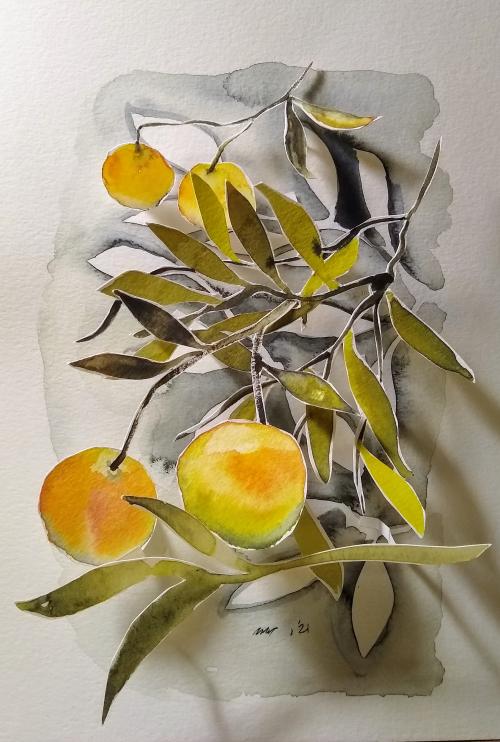Watercolor illustration of citrus.