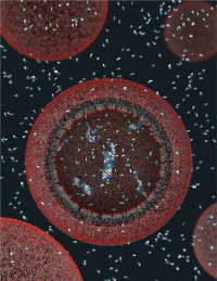 Digital illustration of a red protocell on a black background with RNA molecules inside and outside it.