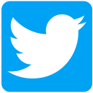 Twitter logo: white bird on a blue square